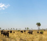 Selinda Reserve